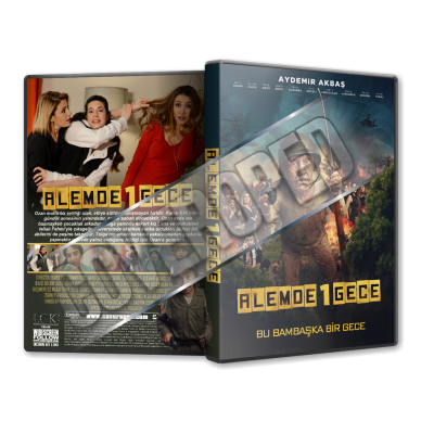 Alemde 1 Gece - 2016 Türkçe Dvd Cover Tasarımı